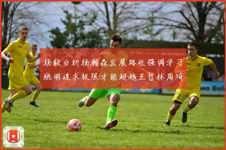 杨毅分析杨瀚森发展路径强调学习姚明追求极限才能超越王哲林周琦状态